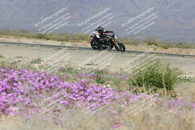 media/Feb-04-2023-SoCal Trackdays (Sat) [[8a776bf2c3]]/Turn 15 Inside Blooming (1050am)/